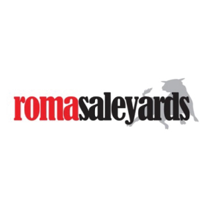 Roma Saleyards Logo - sponsor of Sculpture Out Back